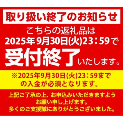 【9月30日受付終了】ランウォーク ゴアテックスメンズビジネスシューズ(WR819P)27.0cm