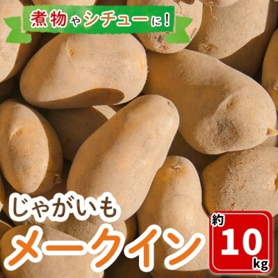 じゃがいも メークイン(約10kg)<7月中旬～9月中旬発送予定>