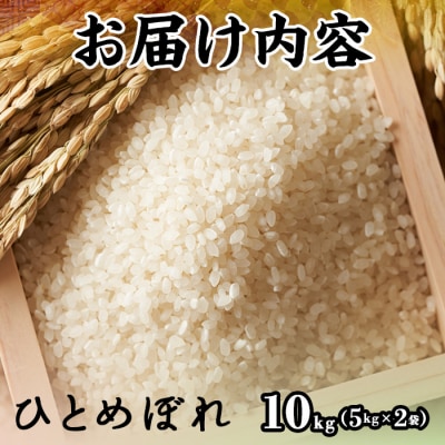 令和7年産新米鳥取県産ひとめぼれ(10kg)