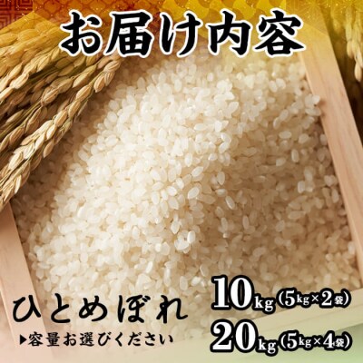 令和7年産米鳥取県産ひとめぼれ(10kg)
