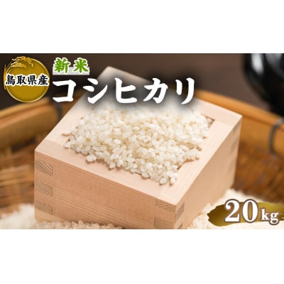 令和7年産新米鳥取県産コシヒカリ(20kg)
