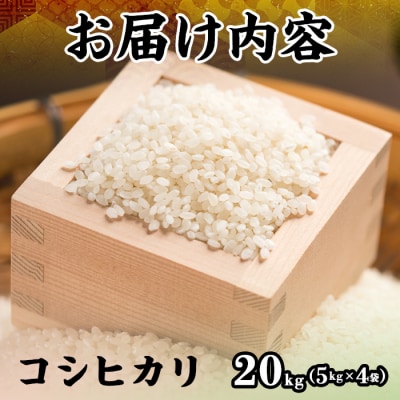 令和7年産新米鳥取県産コシヒカリ(20kg)