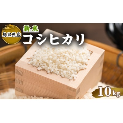 令和7年産新米鳥取県産コシヒカリ(10kg)