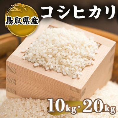 令和7年産米鳥取県産コシヒカリ(10kg)