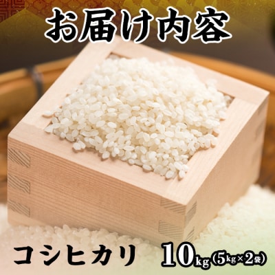 令和7年産新米鳥取県産コシヒカリ(10kg)