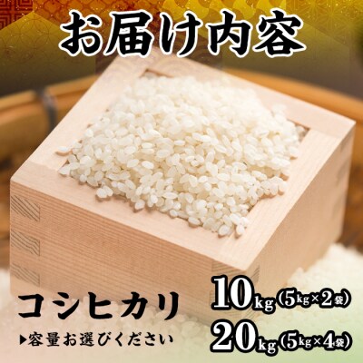 令和7年産米鳥取県産コシヒカリ(10kg)