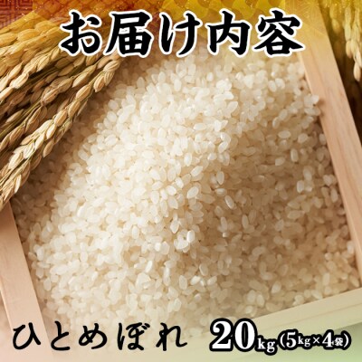 令和7年産新米鳥取県産ひとめぼれ(20kg)
