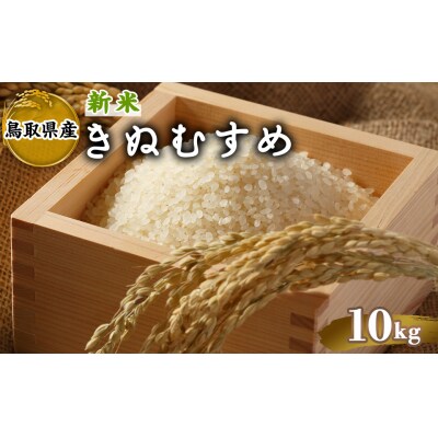 令和7年産新米鳥取県産きぬむすめ(10kg)