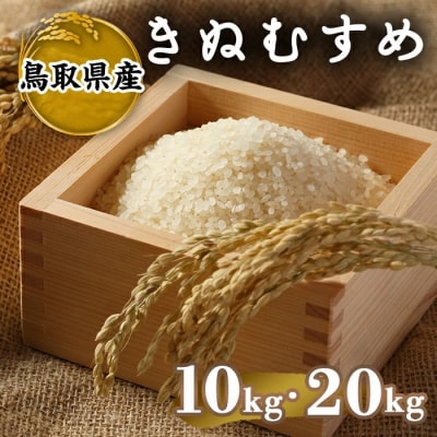 令和7年産米鳥取県産きぬむすめ(10kg)
