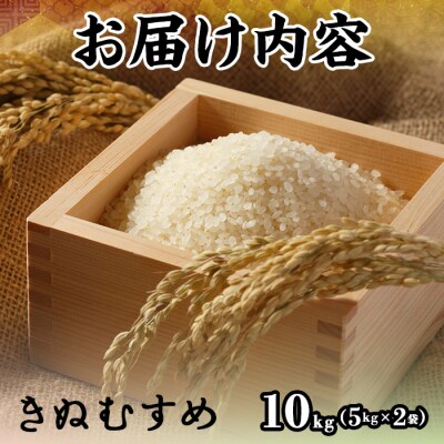 令和7年産新米鳥取県産きぬむすめ(10kg)