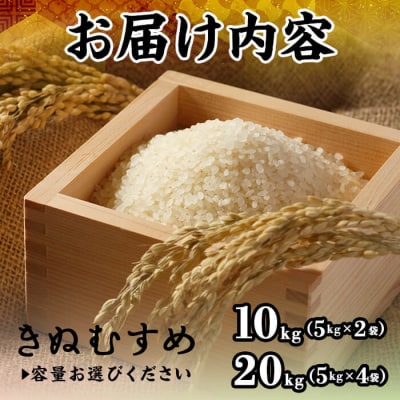 令和7年産米鳥取県産きぬむすめ(10kg)
