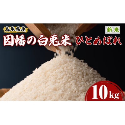 【因幡の白兎米】令和7年産新米ひとめぼれ10kg(5kg×2袋)