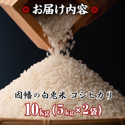 【因幡の白兎米】令和7年産新米コシヒカリ10kg(5kg×2袋)