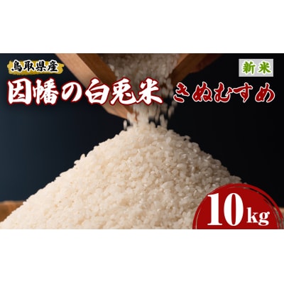 【因幡の白兎米】令和7年産新米きぬむすめ10kg(5kg×2袋)