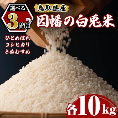 【因幡の白兎米】令和7年産米きぬむすめ10kg(5kg×2袋)