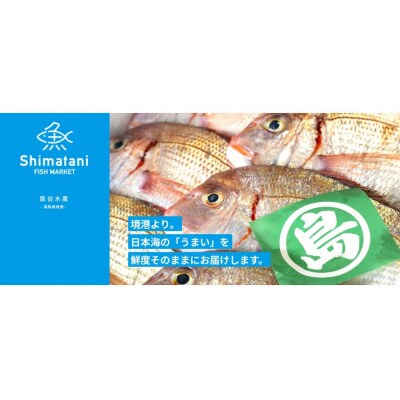 鳥取県産こだわりのアジフィーレフライ(計1.2kg)