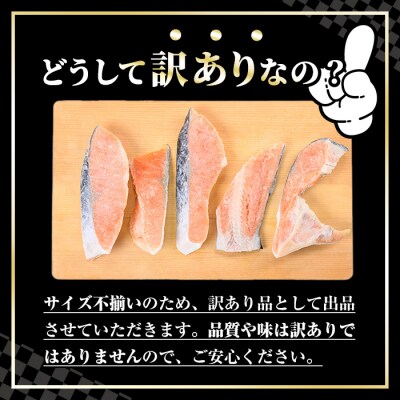 【訳あり】定塩銀鮭切身(2kg)　訳あり 定塩 銀鮭 切身 2kg 時短 便利