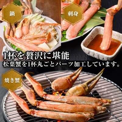 <マルツPREMIUM>松葉蟹フルコースセット【11月中旬～順次発送予定】