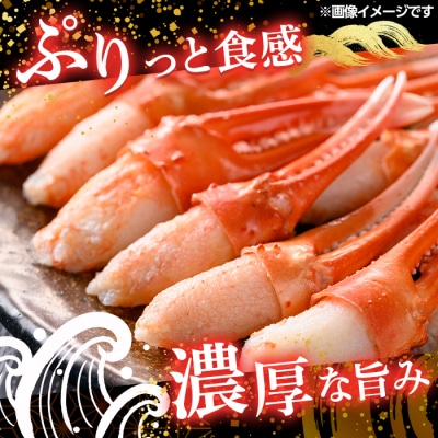紅ズワイガニ爪肉ポーション(Mサイズ・500g) 