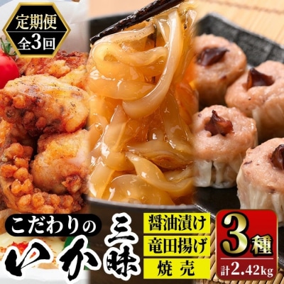 <定期便3ヶ月>いか屋が作ったこだわりのいか三昧