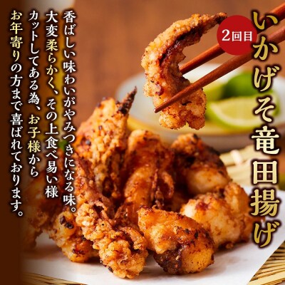 <定期便3回> いか屋が作ったこだわりのいか三昧(3種)