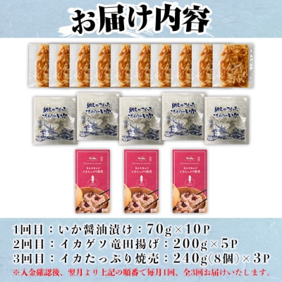 <定期便3ヶ月>いか屋が作ったこだわりのいか三昧