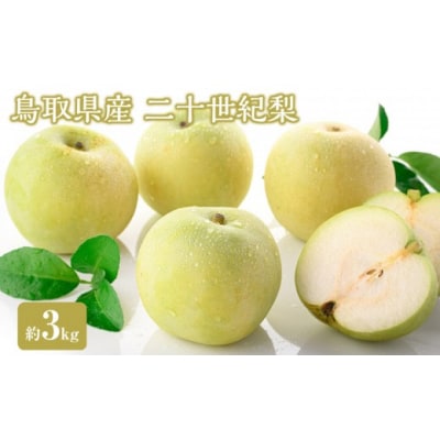 <2026年8月下旬以降順次発送予定>鳥取県産二十世紀梨(約3kg)