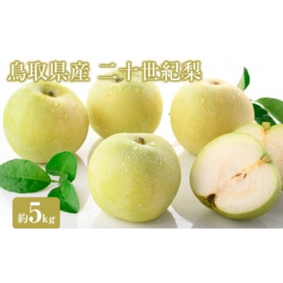 <2026年8月下旬以降順次発送予定>鳥取県産二十世紀梨(約5kg) 