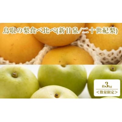 <2026年8月下旬以降順次発送予定>鳥取の梨食べ比べ(新甘泉/二十世紀梨・計約3kg) 