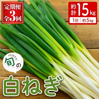 <定期便3回>白ねぎ(約5kg×3回・計15kg)<11月上旬～3月下旬発送予定>