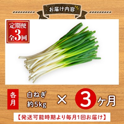 <定期便3回>白ねぎ(約5kg×3回・計15kg)<11月上旬～3月下旬発送予定>