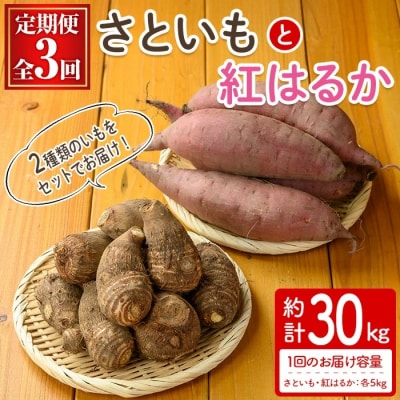 <定期便3回>さといもと紅はるかのセット(計約30kg)<10月上旬～2月下旬発送予定>