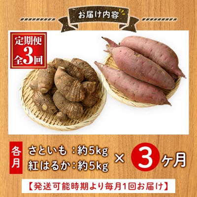 <定期便3回>さといもと紅はるかのセット(計約30kg)<10月上旬～2月下旬発送予定>