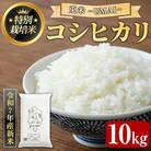 <令和7年産新米・10月中旬以降順次発送予定>特別栽培米!兎米-UMAI- コシヒカリ(10kg)