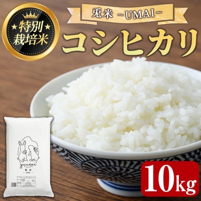 <令和7年産>特別栽培米!兎米-UMAI- コシヒカリ(10kg)