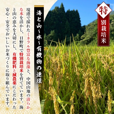 <令和7年産>特別栽培米!兎米-UMAI- コシヒカリ(10kg)