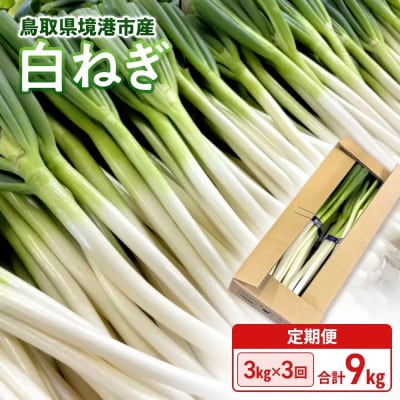 <11月上旬～4月下旬発送予定>白ねぎ(3kg/定期便3回・計9kg) 