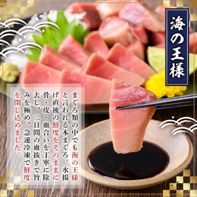 <数量限定><訳あり>境港産本まぐろ2種セット(計300g)