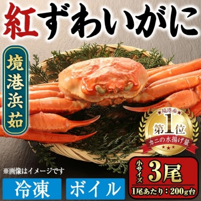 <���ʌ���>���`�l� �Ⓚ�{�C���g���킢���Ɏp(���T�C�Y�E3��)