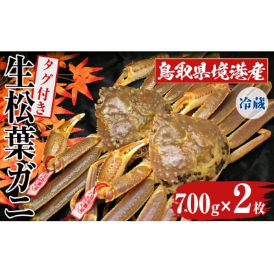 <11月中旬～3月中旬発送予定>鳥取県境港産 タグ付き生松葉がに(700g×2枚)