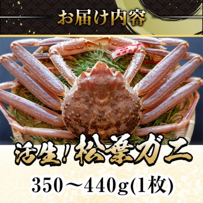 <11月中旬～3月中旬発送予定>松葉ガニ 活生(350～440g・1枚)