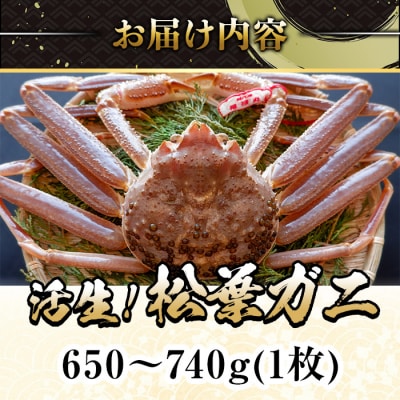 <11月中旬～3月中旬発送予定>松葉ガニ 活生(650～740g・1枚)