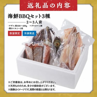 <数量限定>海鮮BBQセット3種(2～3人前)