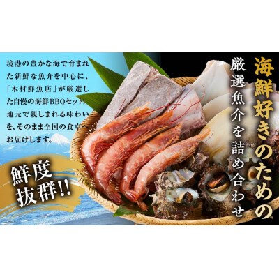 <数量限定>海鮮BBQセット4種(3～4人前)【鳥取県 境港市】