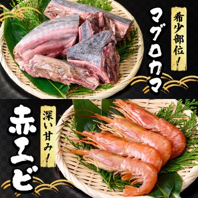 <数量限定>海鮮BBQセット4種(3～4人前)