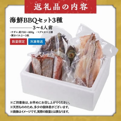 <数量限定>海鮮BBQセット3種(3～4人前)【鳥取県 境港市】