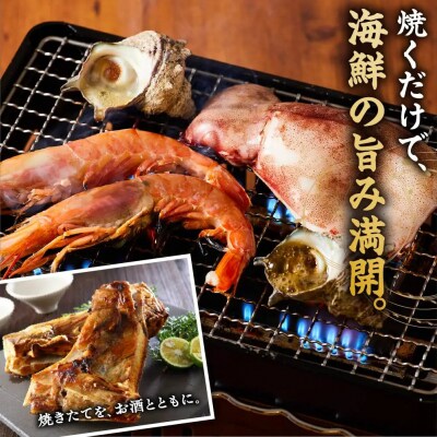 <数量限定>海鮮BBQセット4種(5～6人前)【鳥取県 境港市】