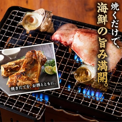 <数量限定>海鮮BBQセット3種(5～6人前)【鳥取県 境港市】