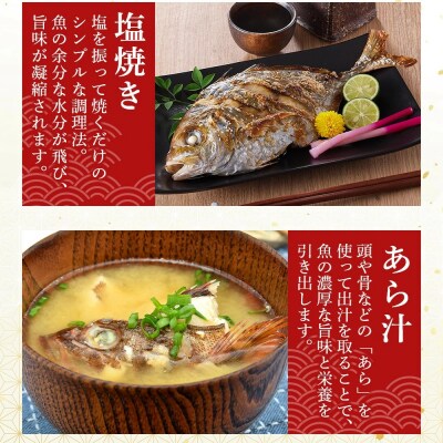 <金～日着※指定日不可><期間限定><4月上旬～10月末頃発送予定>朝獲れ鮮魚ボックス「美保湾の恵み