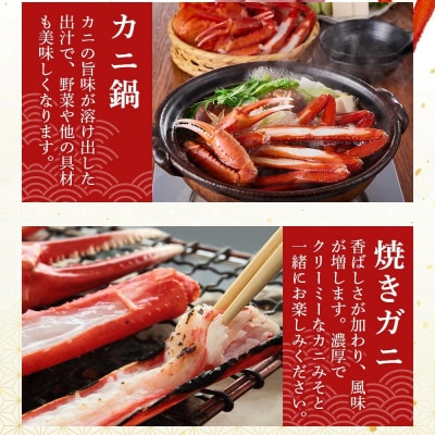 <金～日着><7月～9月上旬発送不可>浜茹ベニズワイガニ足欠(2枚/計約800g以上)